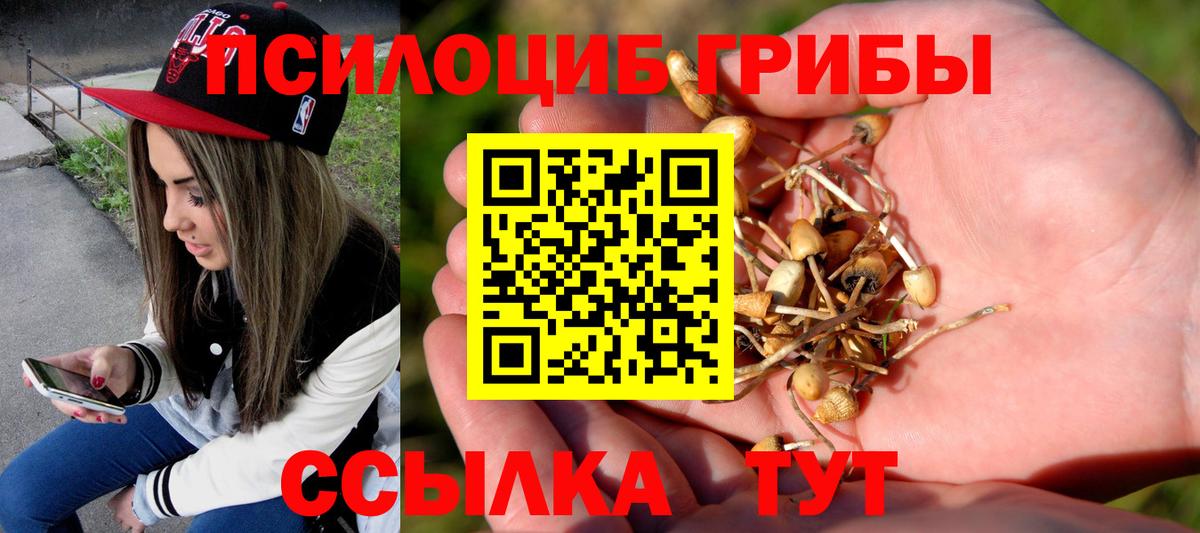 цены   Вход с VPN  Междуреченск  Галлюциногенные грибы Magic Shrooms 